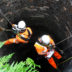 Confined Space