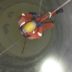 SILO CLEANING